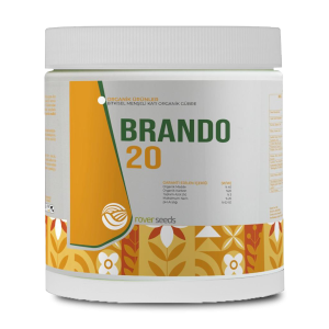 BRANDO 20