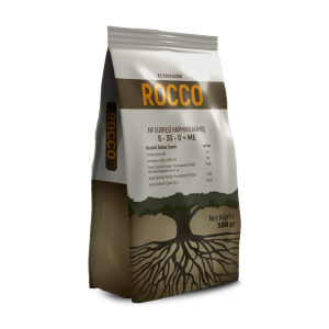 ROCCO