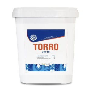 TORRO (3-0-18)